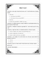 Bán hàng đa cấp và bán hàng đa cấp qua mạng ppt