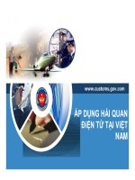 bài giảng áp dụng hải quan điện tử tại việt nam