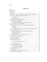 điều khiển động cơ không đồng bộ sử dụng nghịch lưu nguồn dòng