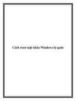 Cách reset mật khẩu Windows bị quên ppt