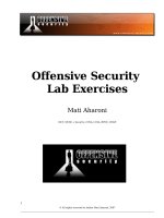 offensive security labs
