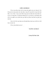 PHÁP LUẬT VIỆT NAM VỀ ĐẤU THẦU MUA SẮM  CÔNG - HƯỚNG HOÀN THIỆN TỪ KINH NGHIỆM  CỦA CỘNG HÒA PHÁP       LUẬN VĂN THẠC SĨ LUẬT HỌC