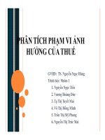 Thuyết trình phân tích phạm vi ảnh hưởng của thuế