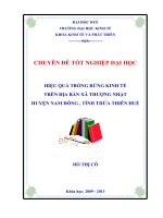 hiệu quả trồng rừng kinh tế trên đại bàn xã thượng nhật huyện nam đông tỉnh thừa thiên huế