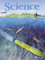 Tạp chí khoa học số  2007-11-16