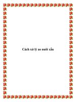 Cách xử lý ao nuôi xấu pdf