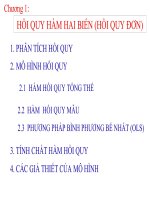 Bài giảng kinh tế lượng Hồi quy hàm 2 biến, hồi quy đơn