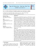 XỬ LÝ NƯỚC DƯỚI ĐẤT Ô NHIỄM ARSENIC QUI MÔ HỘ GIA ĐÌNH pot