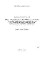 Phân lập các gen có giá trị kinh tế của cây trồng nông lâm nghiệp việt nam, thiết kế vector, tạo các chủng agrobacterium phục vụ cho tạo giống cây trồng chuyển gen