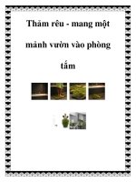 Thảm rêu - mang một mảnh vườn vào phòng tắm doc