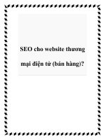 SEO cho website thương mại điện tử (bán hàng)? docx