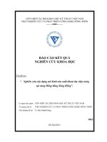 nghiên cứu xây dựng mô hình sản xuất khoai tây chịu nóng tại vùng đồng bằng sông hồng