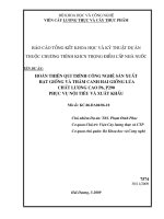 hoàn thiện qui trình công nghệ sản xuất hạt giống và thâm canh hai giống lúa chất lượng cao p6, p290 phục vụ nội tiêu và xuất khẩu