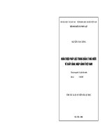 Hoàn thiện pháp luật trong quản lý nhà nước về xuất cảnh, nhập cảnh ở Việt Nam