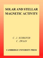 schrijver c.j., zwaan c. solar and stellar magnetic activity