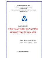 bài tập lớn tính toán thiết kế và phân tích độ tin cậy của dầm