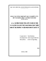 Sự hình thành tầng lớp xã hội ưu trội và vai trò của nó ở việt nam trong phát triển kinh tế thị trường và hội nhập kinh tế quốc tế