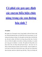 Có phải các gen quy định các enzym biểu hiện chức năng trong các con đường hóa sinh ? pptx