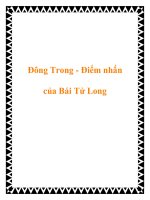 Đông Trong - Điểm nhấn của Bái Tử Long pptx