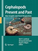 cephalopods present and past