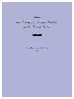 all about forex market in usa