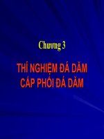 THÍ NGHIỆM ĐÁ DĂM CẤP PHỐI ĐÁ DĂM docx