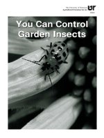 insect control in gardens