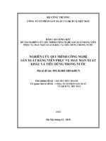 Nghiên cứu quy trình công nghệ sản xuất băng viền phục vụ may màn xuất khẩu và tiêu dùng trong nước