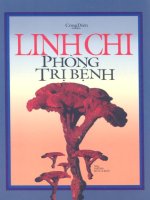 Linh chi phòng trị bệnh ppt