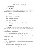 Đề cương ôn thi tốt nghiệp môn hệ thống pháp luật