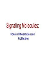 signal transduction diagrams