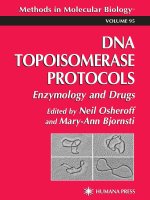 dna topoisomerase protocols, volume ii