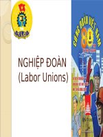 Bài giảng môn kinh tế lao động - Nghiệp đoàn - thầy Vũ Thanh Liêm