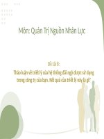 tiểu luận thảo luận về triết lý của hệ thống đãi ngộ được sử dụng trong công ty của bạn. kết quả của triết lý này là gì
