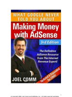 google adsense secrets or what google never told you about making money with adsense