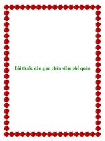 Bài thuốc dân gian chữa viêm phế quản pptx