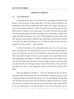 Nghiên cứu thử nghiệm nhằm đánh giá hiệu quả xử lý nước thải tinh bột mì bằng chế phẩm sinh học B560HV