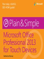 microsoft press office professional 2013 for touch devices plain and simple