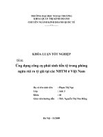 Ứng dụng công cụ phái sinh tiền tệ trong phòng ngừa rủi ro tỷ giá tại các ngân hàng thương mại ở việt nam