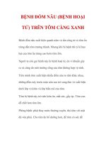 BỆNH ĐỐM NÂU (BỆNH HOẠI TỬ) TRÊN TÔM CÀNG XANH ppt