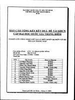 Nghiên cứu công nghệ chế tạo và điều khiển bộ biến tần ba pha giá thành thấp