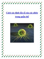 Cách xác định tần số của các allele trong quần thể potx