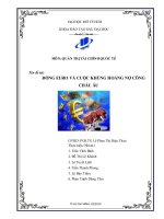 tiểu luận đồng euro và cuộc khủng hoảng nợ công châu âu