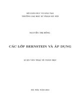 NGUYÊN LÝ BIẾN PHÂN EKELAND ĐỐI VỚI ÁNH XẠ DẠNG CO     LUẬN VĂN THẠC SĨ KHOA HỌC TOÁN HỌC