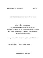 Nghiên cứu bào chế hệ trị liệu hấp thu qua da đối với seopolamin, clonidin và captopril