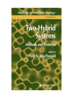 two-hybrid systems - paul n. macdonald