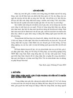 SKKN chuyên đề bảo vệ môi trường ở khu chăn nuôi lợn