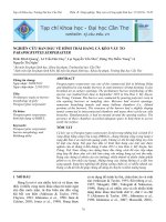 NGHIÊN CỨU BAN ĐẦU VỀ HÌNH THÁI HANG CÁ KÈO VẢY TO PARAPOCRYPTES SERPERASTER potx