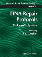 dna repair protocols, prokaryotic systems