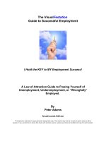 The VisualFestation Guide to Successful Employment pdf